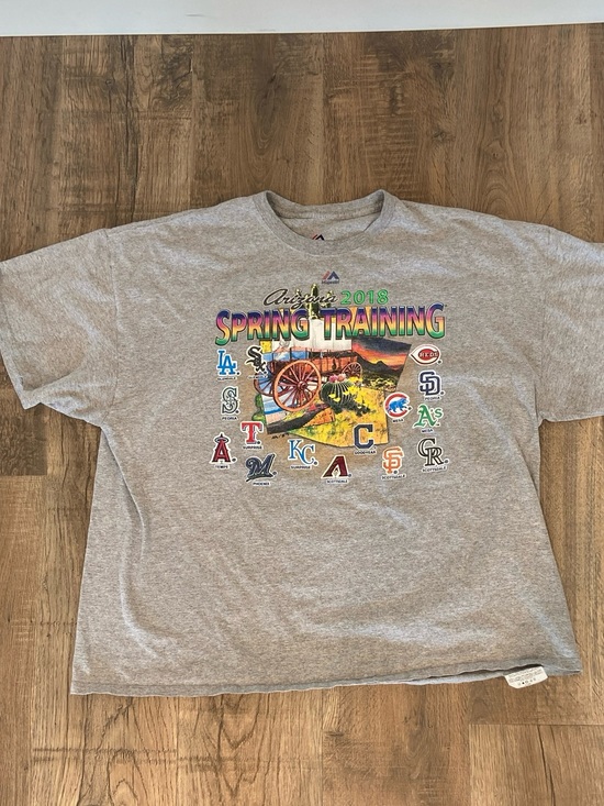 Majestic Other - Mens Spring Training Graphic Tee - 2018 Majestic USA